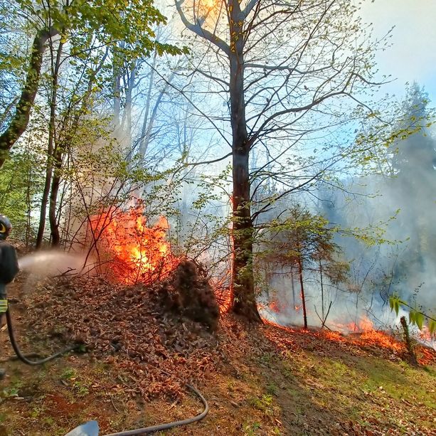 Ancora fiamme nei boschi, vigili del fuoco e AIB impegnati su tre fronti. A Cervasca il rogo più esteso