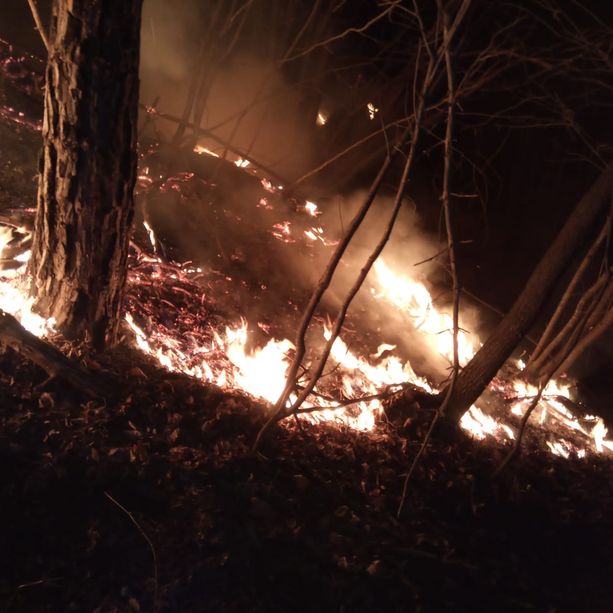 Sempre più vasto l'incendio boschivo a Villar San Costanzo: al lavoro decine di vigili del fuoco e volontari A.I.B. (FOTO)