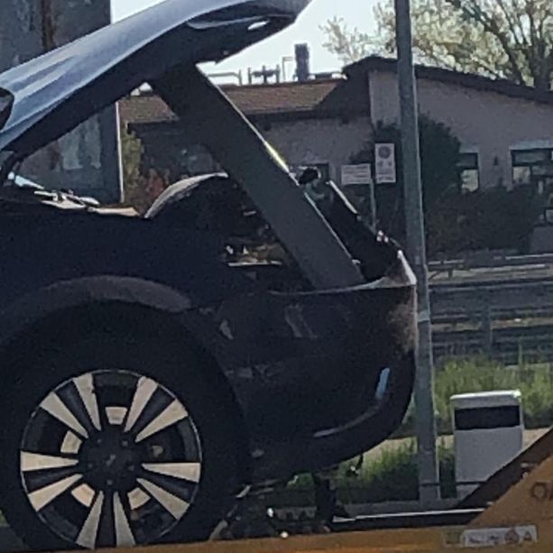 Sulla A6 capriolo attraversa la carreggiata e manda fuori strada una vettura