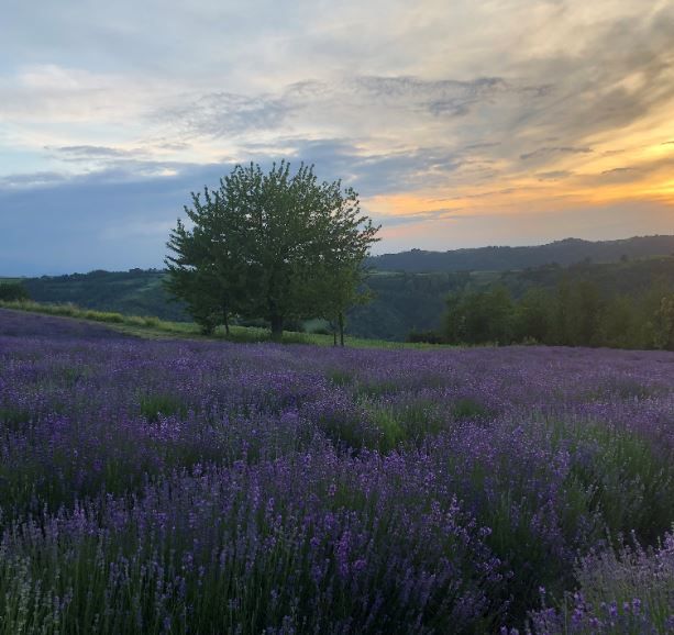 Primo fine settimana d’estate: ecco qualche idea per trascorrerlo nella Granda