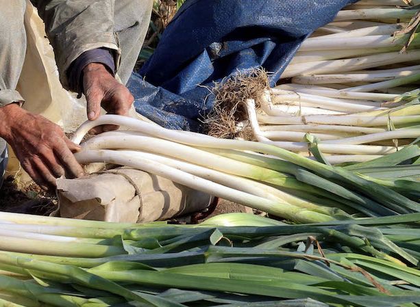 Tutti gli appuntamenti nella Granda per questo ultimo fine settimana di novembre
