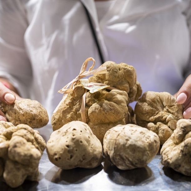 Novantamila!! La Fiera del Tartufo Bianco di Alba chiude con grandi numeri