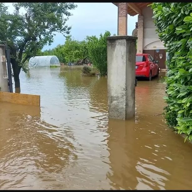 A Trinità si contano i danni dell'esondazione del torrente Mondalavia, la più devastante che il paese ricordi [FOTO]