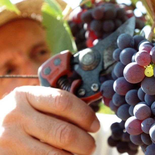 Sapori e colori autunnali per questo fine settimana di settembre da vivere in provincia di Cuneo