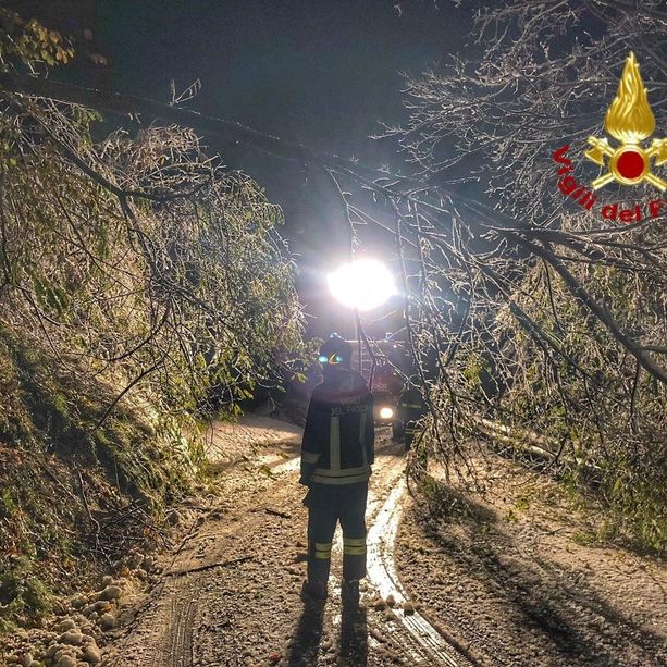 Allagamenti e alberi caduti per il maltempo: numerose le richieste di intervento ai Vigili del Fuoco della Granda