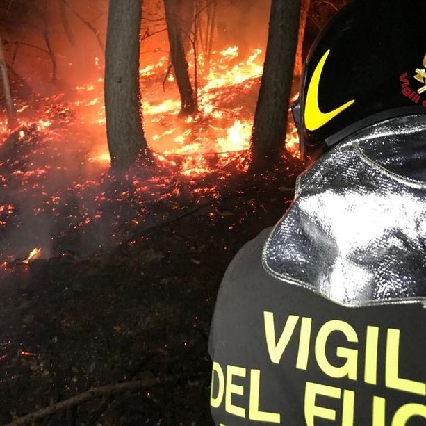 Incendio boschivo a Santo Stefano Roero: fiamme vicino alle abitazioni