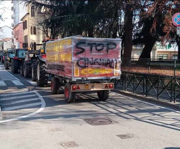Troppi cinghiali: flash mob di trattori in centro a Chivasso