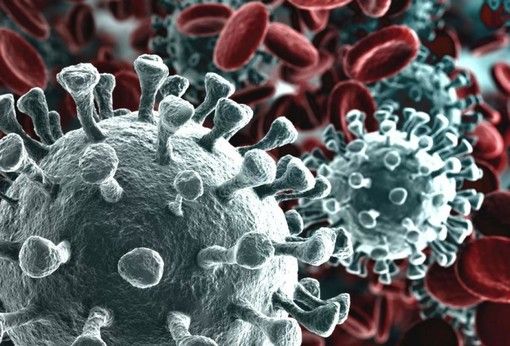 Coronavirus, i letti occupati in terapia intensiva salgono a 249. I ricoverati totali per Covid in Piemonte sono attualmente oltre 3.700