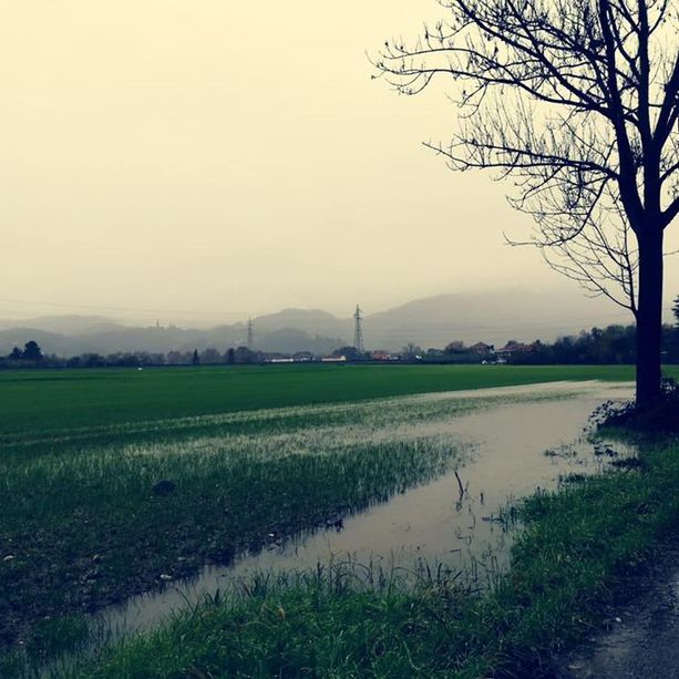 Più di un milione di euro per mettere in sicurezza il rio Freidano di Settimo Torinese