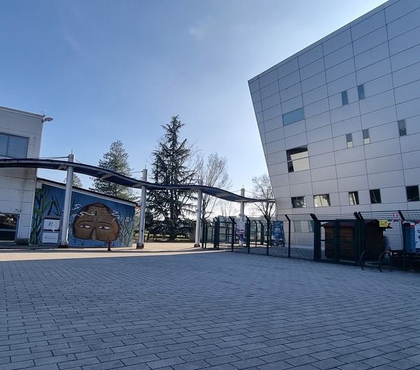 Dal Palaghiaccio al Martin: Pinerolo tira fuori quasi 600 mila euro per lo sport