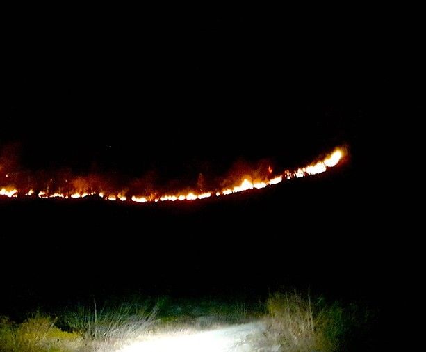 Incendio boschivo nella zona di Pian Frollero tra Val Pellice e Valle Po