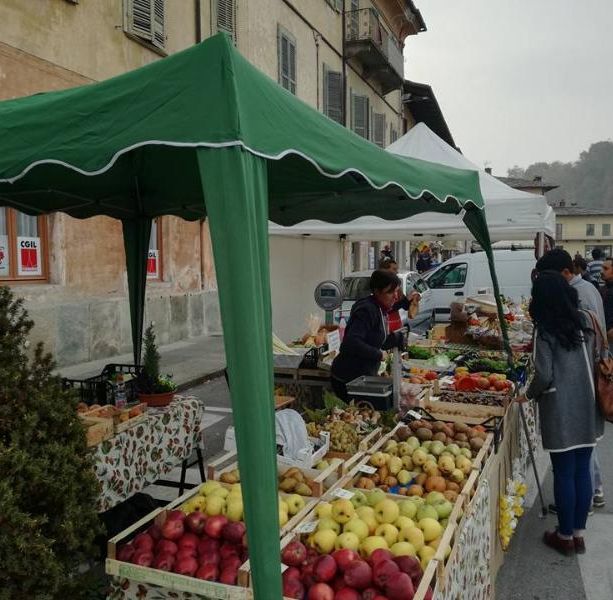 La Sagra del Kiwi di Bibiana si allarga e sale sul trattore