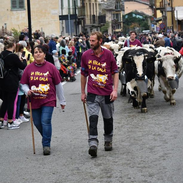 Bobbio Pellice attende la ‘Calà’ degli animali dagli alpeggi per fare festa
