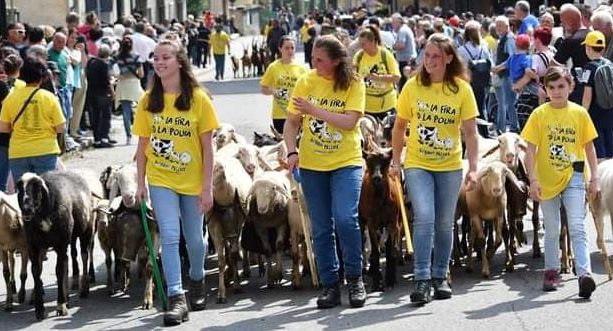 A Bobbio Pellice il bestiame sfila ‘aspettando’ le bici