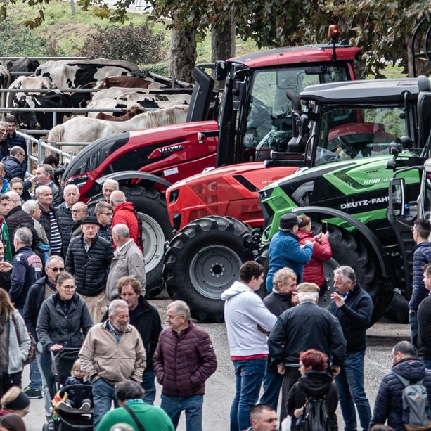 Tra trattori e bancarelle Castagnole Piemonte ospita la sua Fiera d’autunno