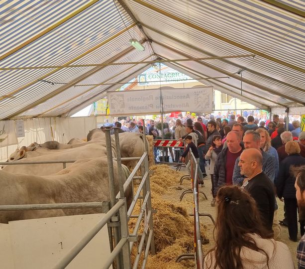Domani al via Cavour Carne tra consumo consapevole e imprenditoria femminile