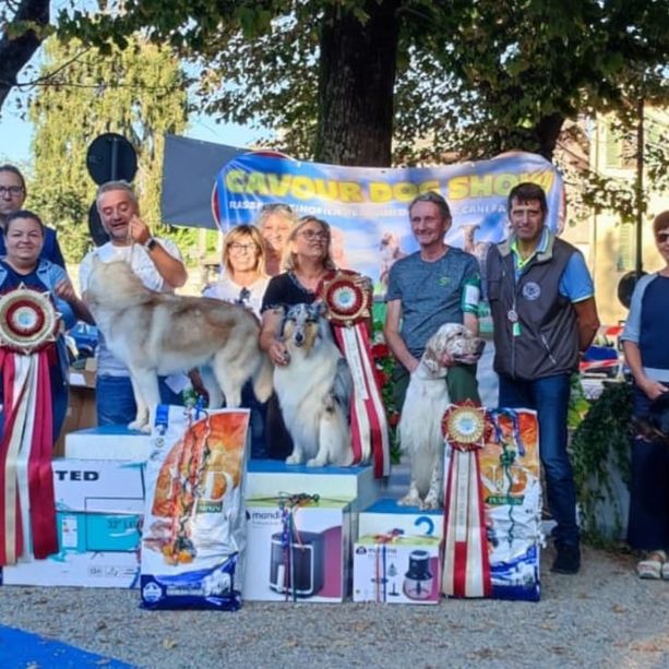 I cani diventano protagonisti della domenica di Cavour