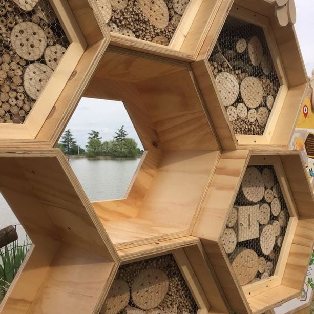 A Cumiana un nuovo habitat per gli impollinatori