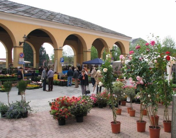 Fiori, piante e arte giapponese: domani nel centro di Cumiana
