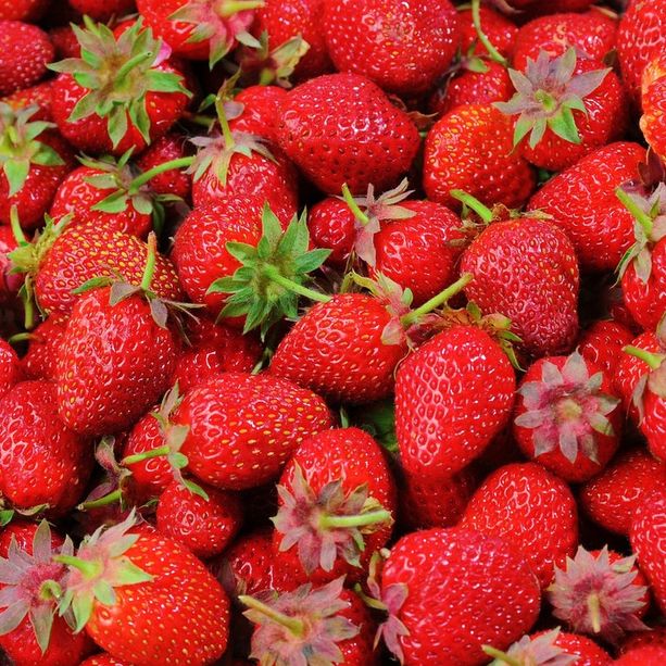 Il gruppo di produttori angrognini Tacoulòt festeggia tre anni di mercato locale