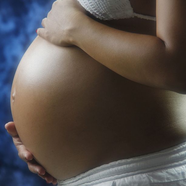 Pinerolo: domani serata di confronto sull’utero in affitto