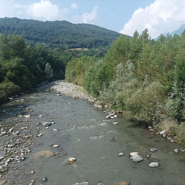 Non avevano mai visto l'acqua del Pellice così torbida: pescatori e agricoltori lanciano l'allarme