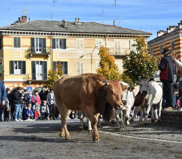 Luserna San Giovanni attende la carica dei 4 mila e adegua il percorso