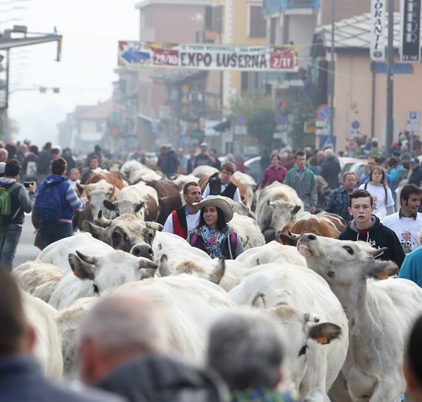 Il Covid interrompe una tradizione di 700 anni: Luserna San Giovanni cancella la Fiera dei Santi
