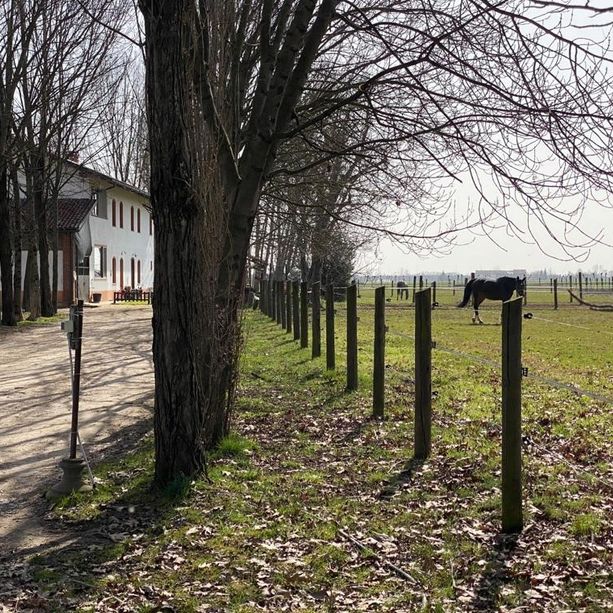 Sequestro a Pinerolo: “Hanno messo tra i dopanti anche le pastiglie della pressione di mio padre”