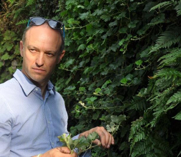 Dal parco di Miradolo alle pareti verdi di tutto il mondo, l’esperienza di Flavio Pollano