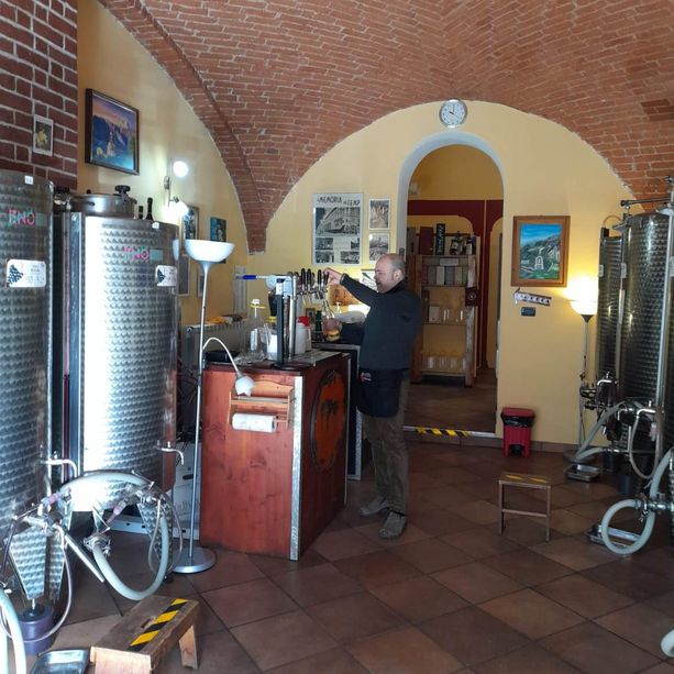 Truffatori del vino: un altro tentativo a Pinerolo