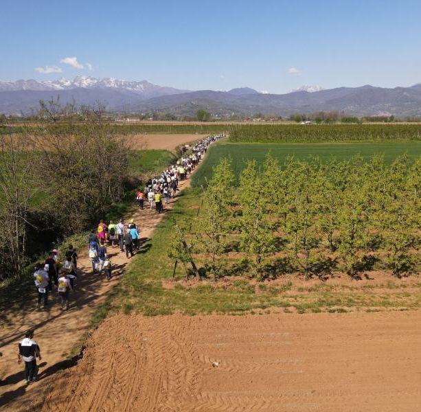 Pinerolo: la ‘Lions Walk’ punta a superare gli 800 partecipanti