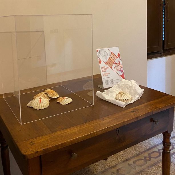 Gli alunni del Liceo Artistico interpretano la conchiglia tra sacro e profano