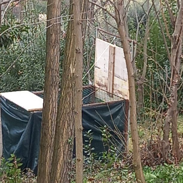 Trappole sulla collina di Pinerolo, denunciato un bracconiere