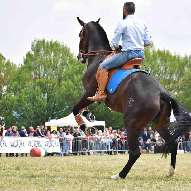 Pinerolo torna in sella malgrado il maltempo
