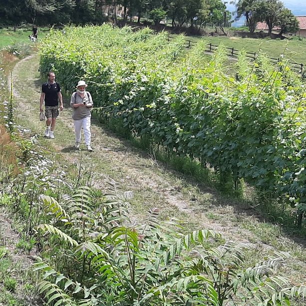 Il sindaco di Pinerolo vieta la caccia a Costagrande