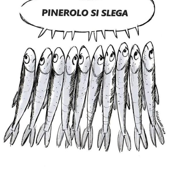 Anche “Pinerolo si slega”: domani le sardine in piazza Facta