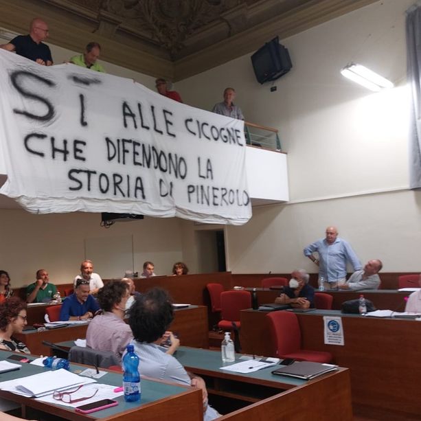 “Sì alle cicogne che difendono la storia di Pinerolo”, la protesta in Consiglio comunale
