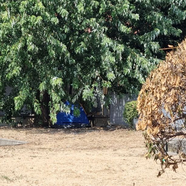 Pinerolo: si accampa nei giardini vicino all’ufficio postale
