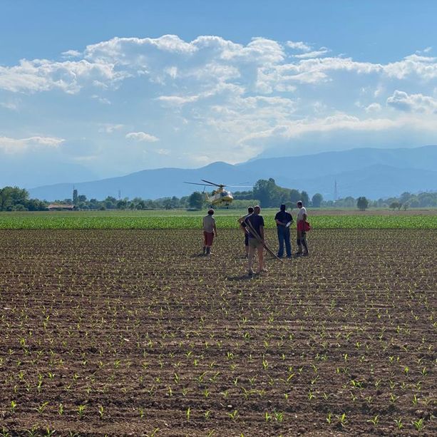 Agricoltore viene travolto dalla sua mucca in fuga a Riva di Pinerolo