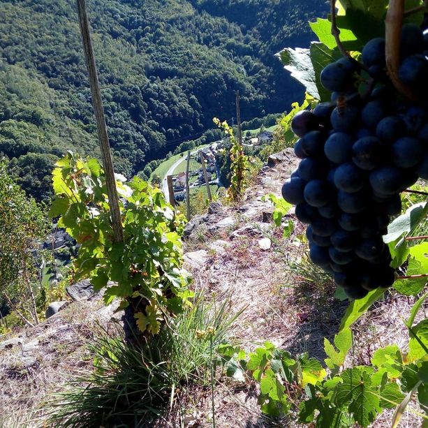 Con Mercalli e il ricordo di Cimenti e Negro, Pomaretto dedica una settimana alla montagna