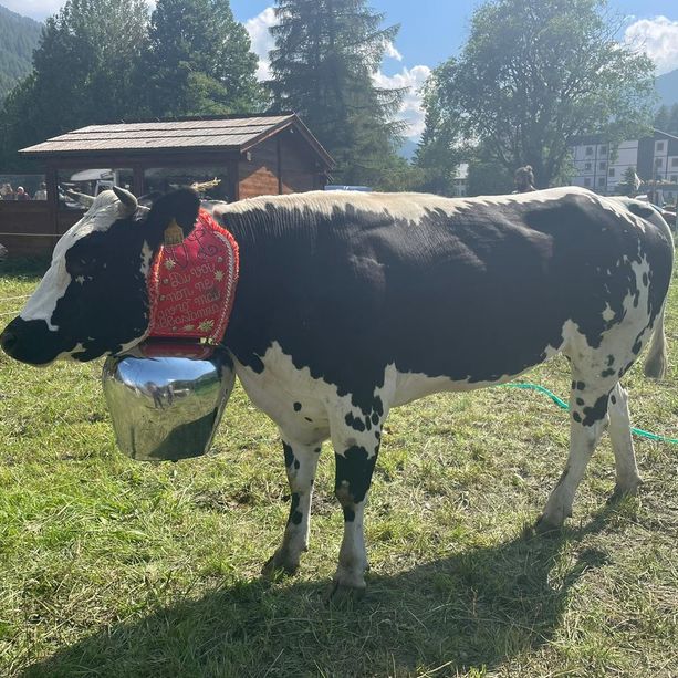 La prima ‘Miss Manza’ di Pragelato è Regina di Buriasco