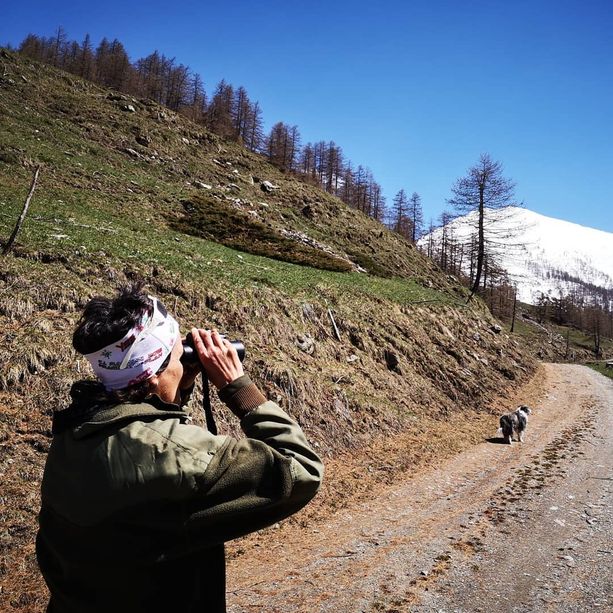 Quarant’anni di parchi nel Pinerolese: i compleanni di Orsiera Rocciavrè e Val Troncea