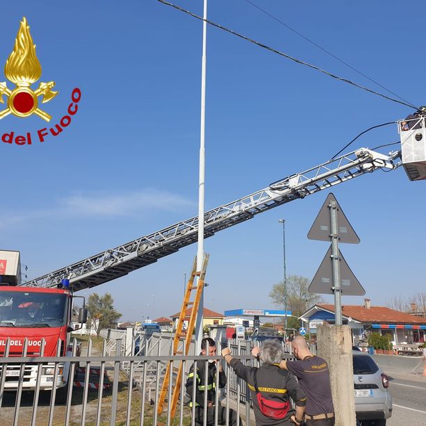 Palo pericolante su via Val Pellice, i vigili del fuoco lo mettono in sicurezza