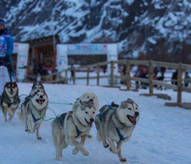 La gara europea di sleddog si farà: intesa tra Comune di Pragelato e organizzatori