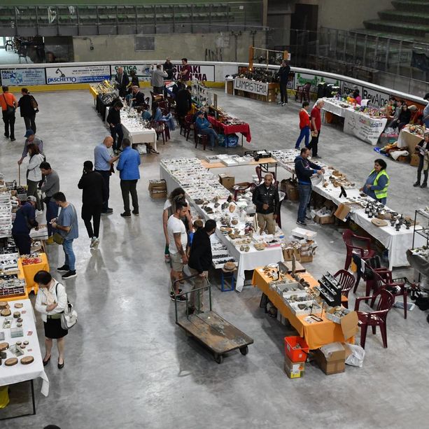 Nel week end si potranno cercare oro e fossili al Palaghiaccio di Torre Pellice