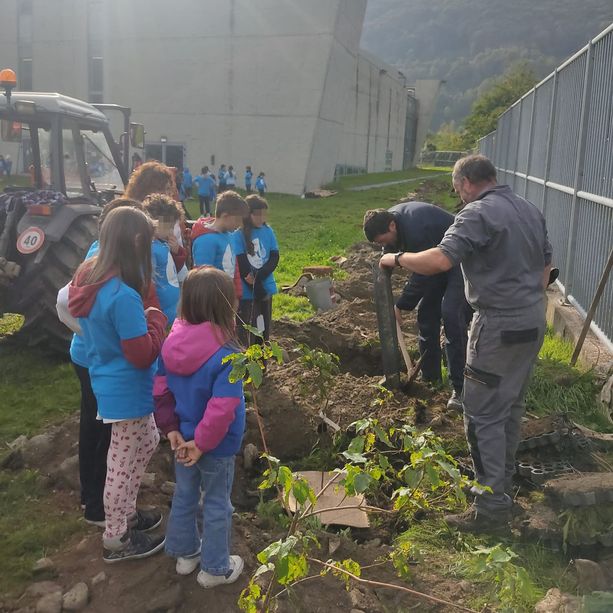 Tigli, arbusti e una pittura murale per abbellire il palazzetto del ghiaccio di Torre Pellice
