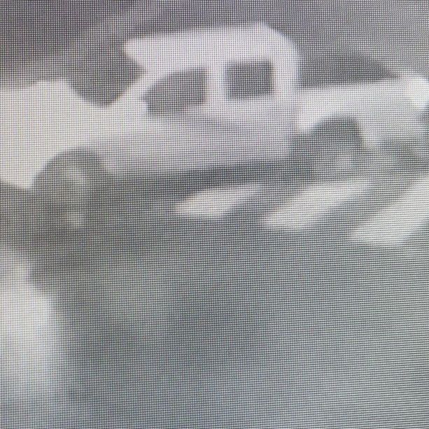 Pick-up sfreccia nel parco pedonale di piazza Muston salendo sugli scalini: individuati i responsabili