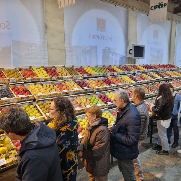 Tuttomele a Cavour: dalla Fiera di San Martino a ‘Gli amici della cassettina’