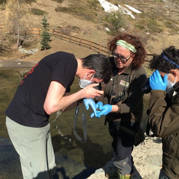 Muoiono gli anfibi e il Comune di Usseaux vieta l’accesso al Lago delle Rane